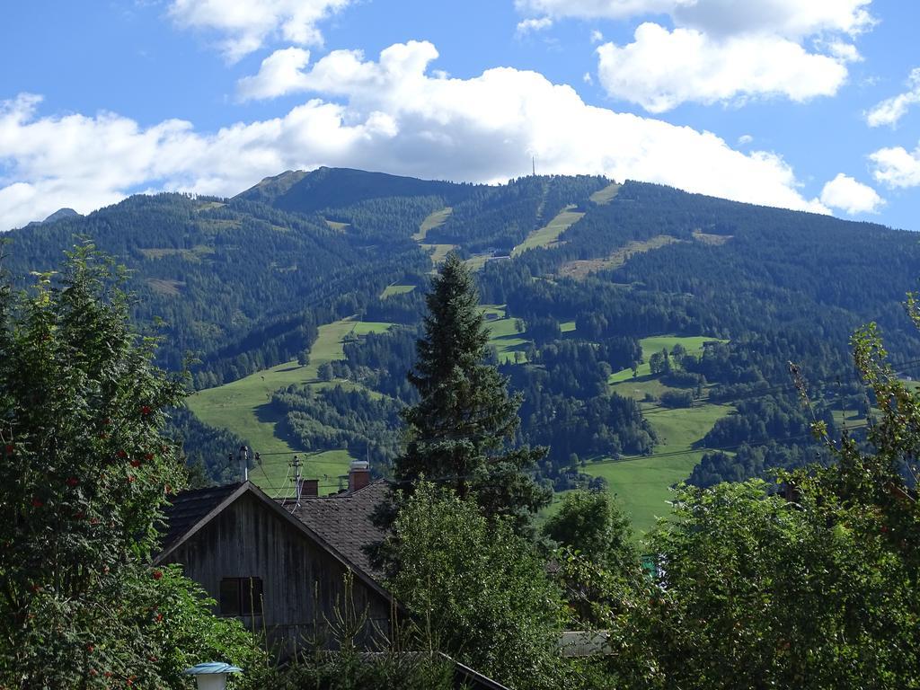 Ferienwohnung Schönauer Haus im Ennstal Exterior foto